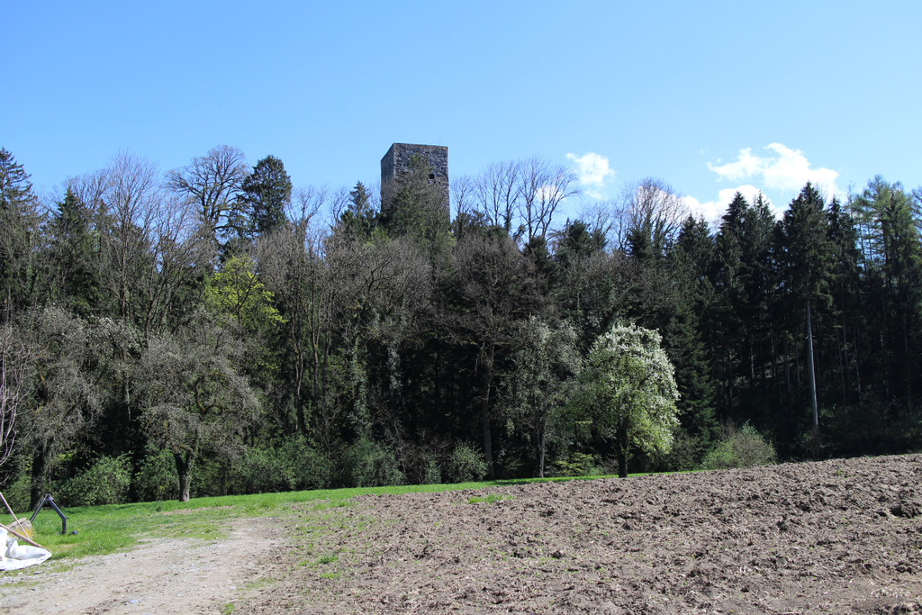 KOE_Burgruine Tosters 6.jpg