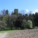 KOE_Burgruine Tosters 6.jpg
