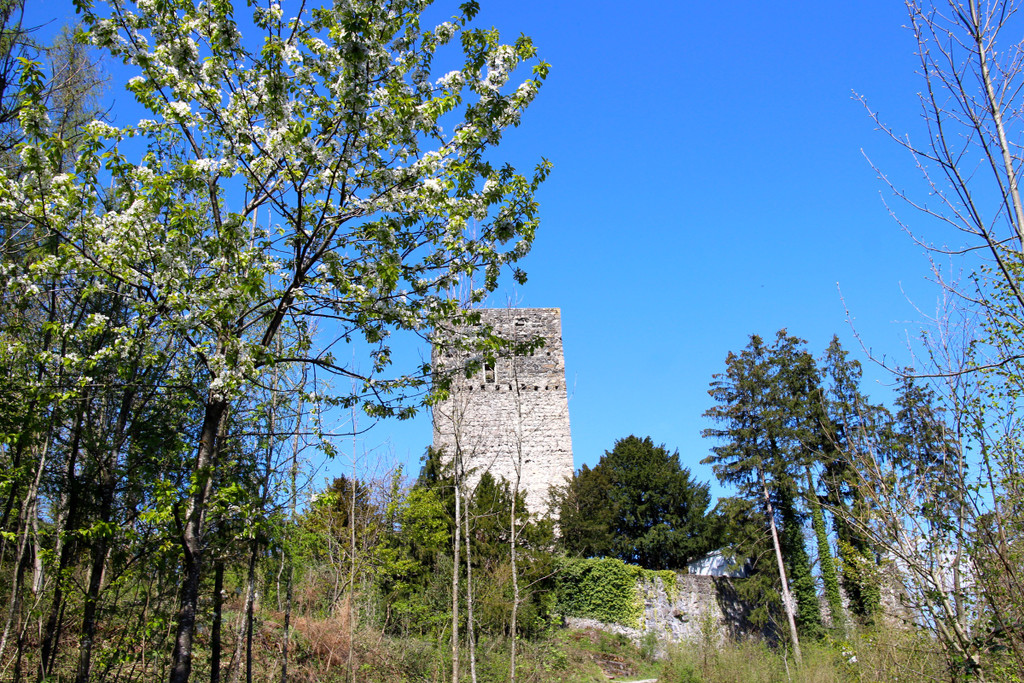 KOE_Burgruine Tosters 7.jpg