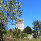KOE_Burgruine Tosters 7.jpg