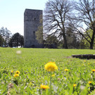 KOE_Burgruine Tosters 13.jpg