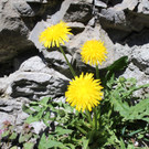 KOE_Burgruine Tosters 21.jpg
