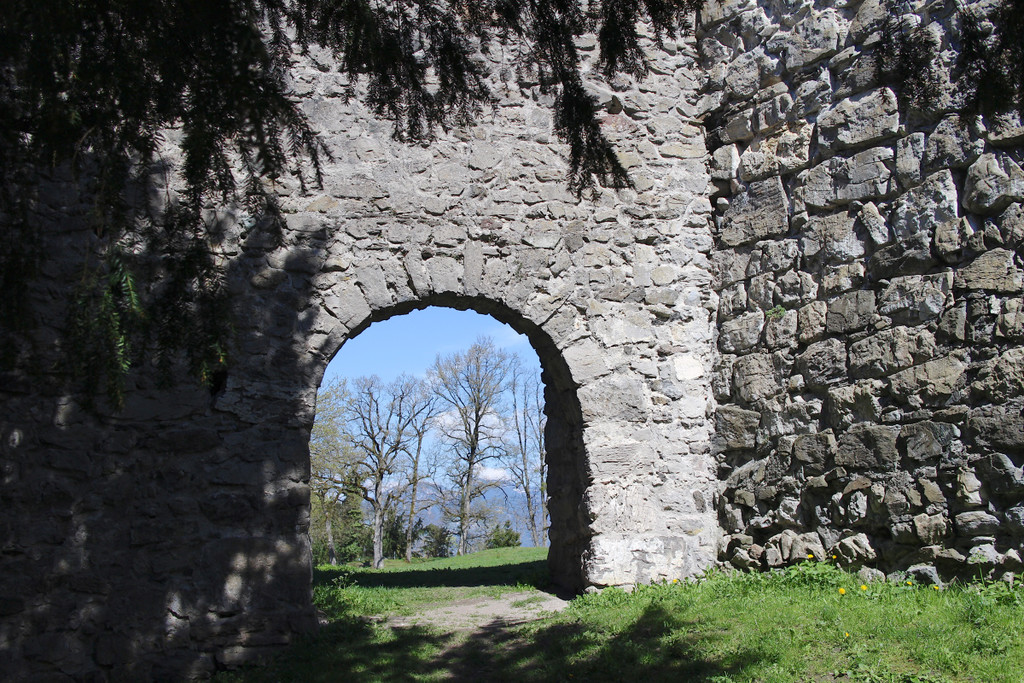 KOE_Burgruine Tosters 22.jpg