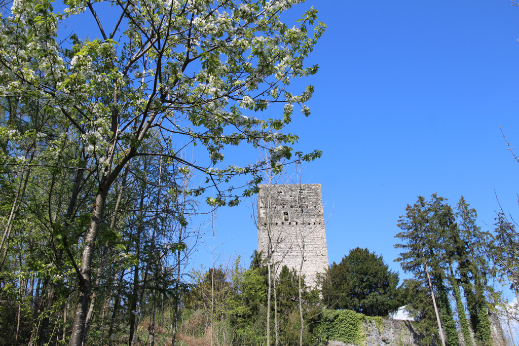 KOE_Burgruine Tosters 27.jpg