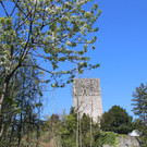 KOE_Burgruine Tosters 27.jpg