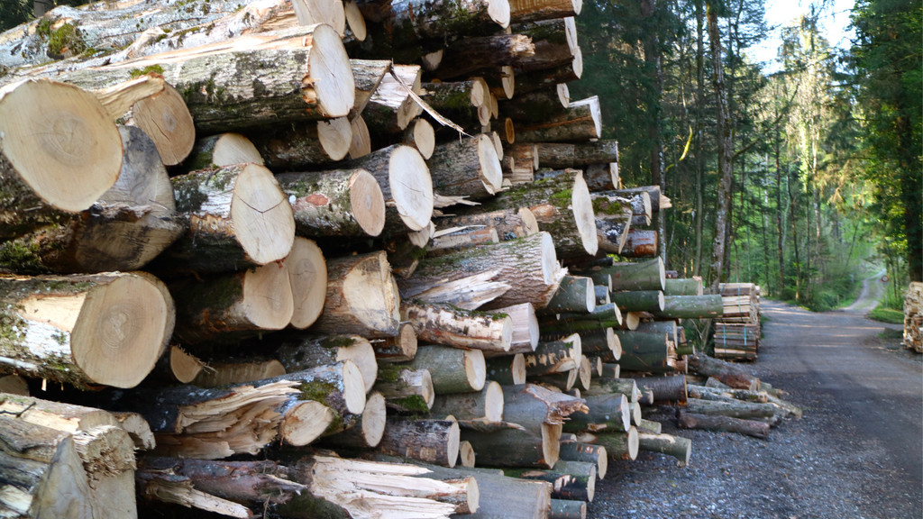 KOE_Tisis Agrargemeinschaft 17.jpg