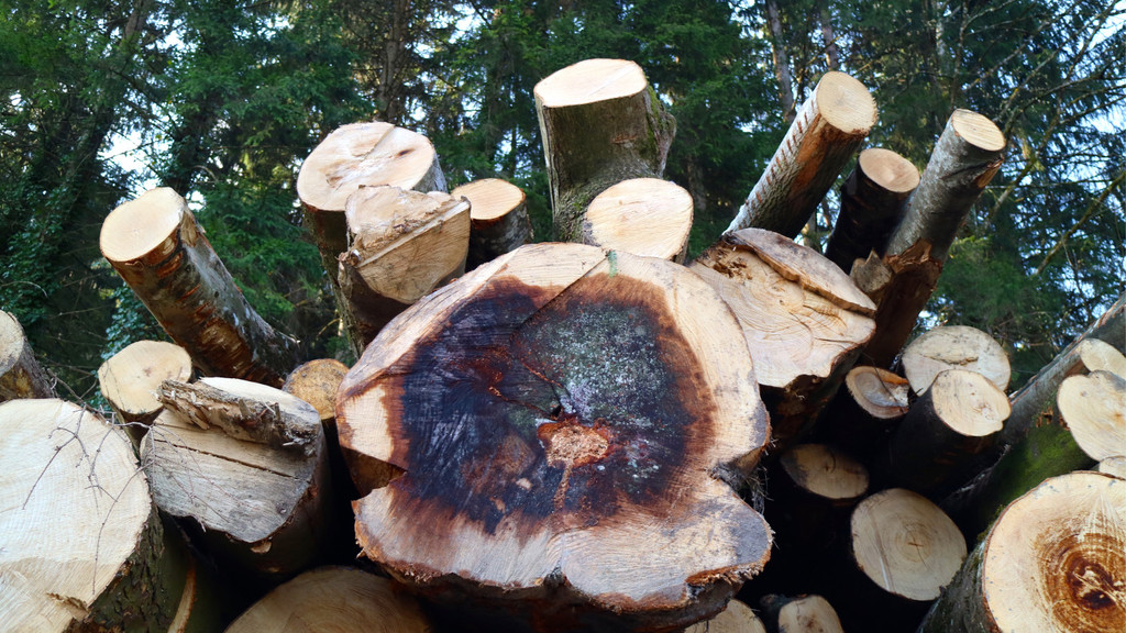 KOE_Tisis Agrargemeinschaft 22.jpg