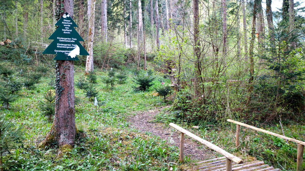 KOE_Tisis Agrargemeinschaft 26.jpg