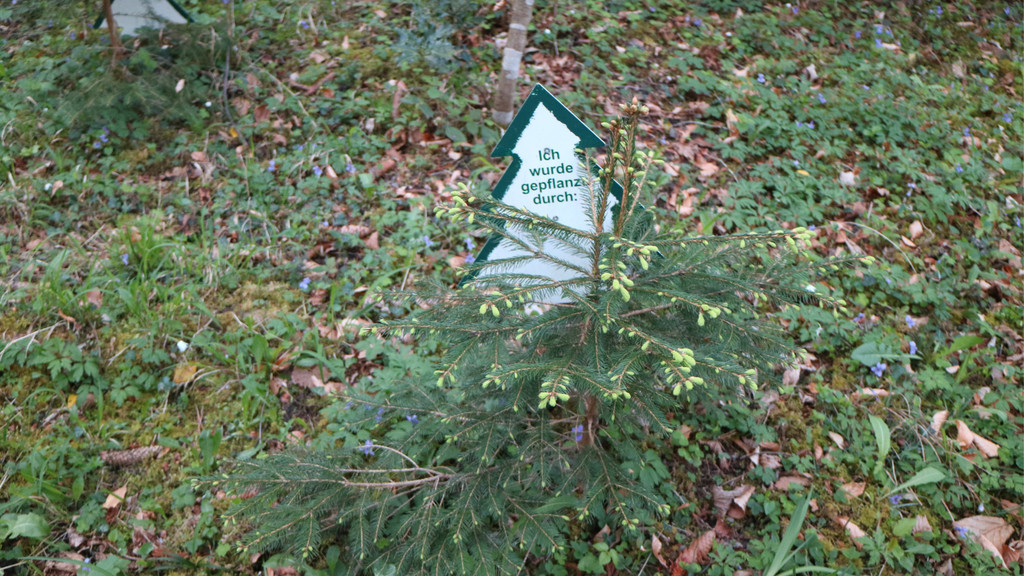 KOE_Tisis Agrargemeinschaft 29.jpg