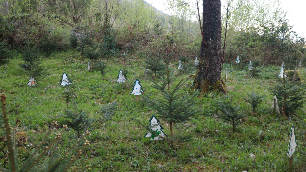 KOE_Tisis Agrargemeinschaft 30.jpg