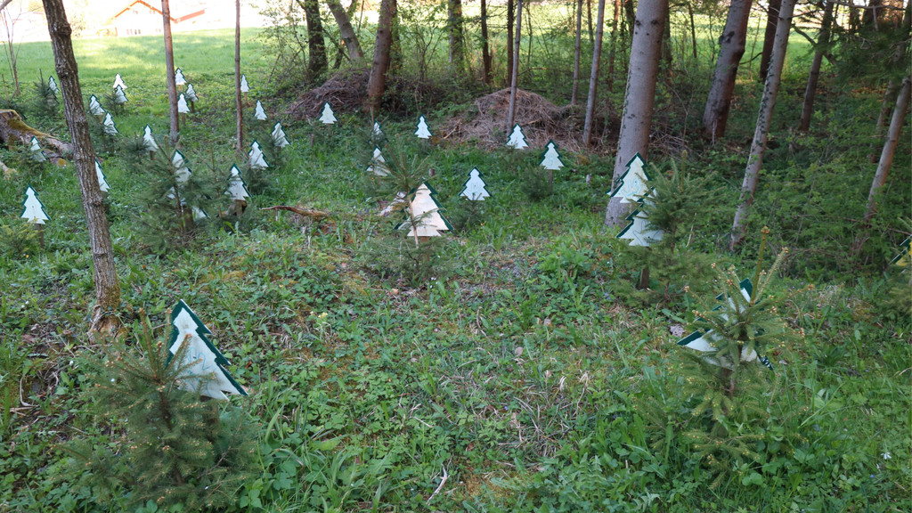 KOE_Tisis Agrargemeinschaft 31.jpg