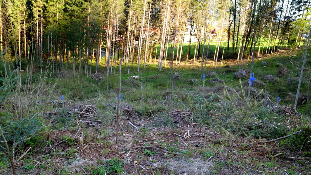 KOE_Tisis Agrargemeinschaft 32.jpg