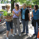 IMG_2245_JPG-1276767343
