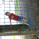 IMG_2249_JPG-1276767525