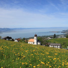 Ausblick Sennerei Lutzenreute.JPG