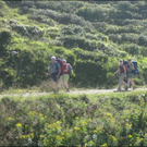 HK_Rundtour _12_.jpg