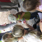 IMG_2288_JPG-1276769779