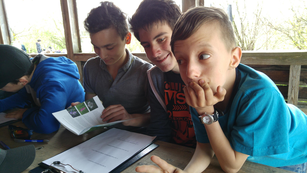 2016-04-05 14_32_47.jpg