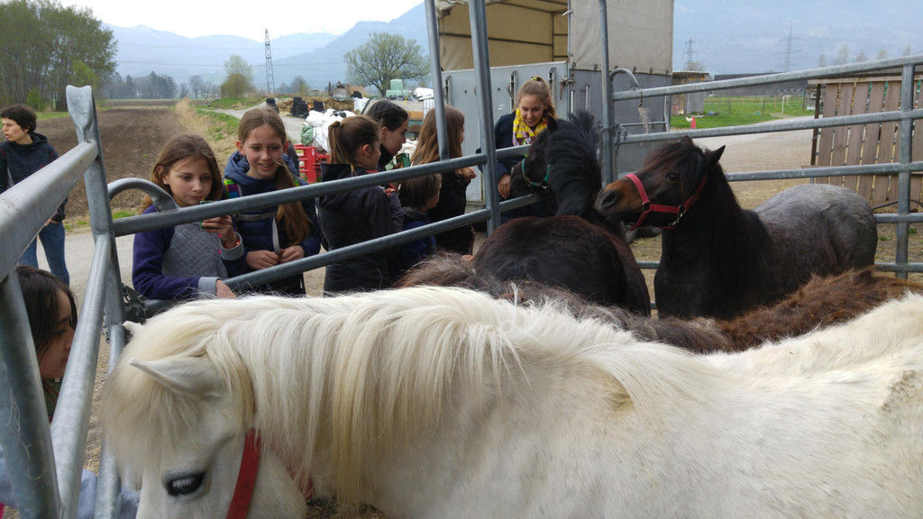 2016-04-05 15_23_54.jpg