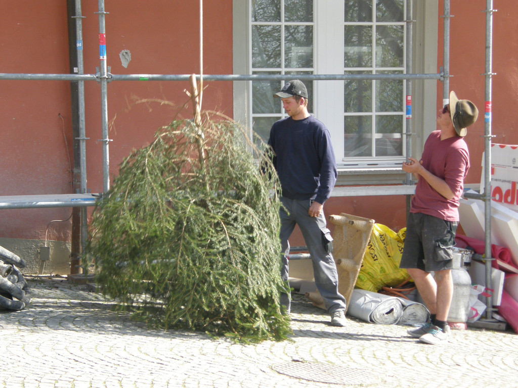 P4210007.JPG