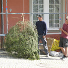 P4210007.JPG