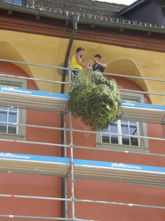P4210008.JPG