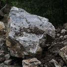 normal_17062010feslffaktivnews_41.jpg