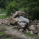 normal_17062010feslffaktivnews_46.jpg