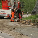 normal_17062010feslffaktivnews_67.jpg