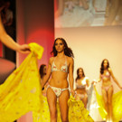IMG_4512.jpg