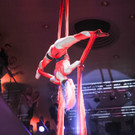 IMG_4780.jpg