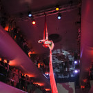 IMG_4785.jpg