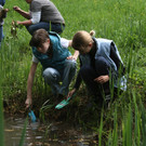 BK_weiher 49.jpg
