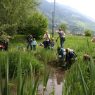 BK_weiher 50.jpg