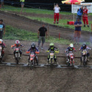 IMG_8667.jpg
