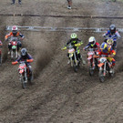 IMG_8668.jpg