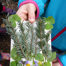 DSCN4061.JPG