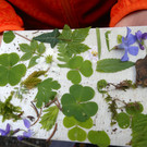 DSCN4063.JPG