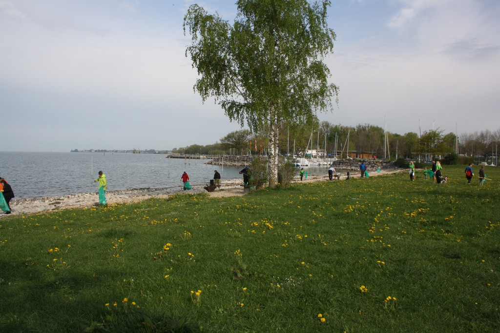 Landschaftsreinigung am See 25-04-2015 _19_.JPG