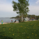 Landschaftsreinigung am See 25-04-2015 _19_.JPG