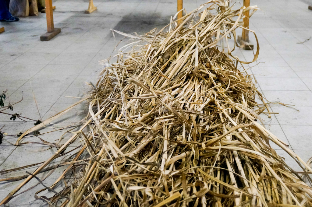 OGV N__tzlingshotel Workshop _1_.jpg