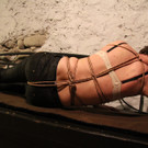 IMG_5785.JPG