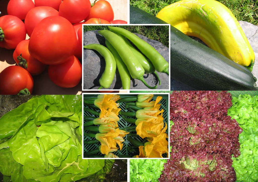 2013-09-03_Fotobanner_Seite1.jpg