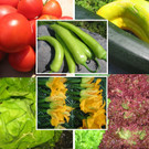 2013-09-03_Fotobanner_Seite1.jpg