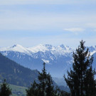 IMG_4600.jpg