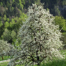 IMG_4628.jpg