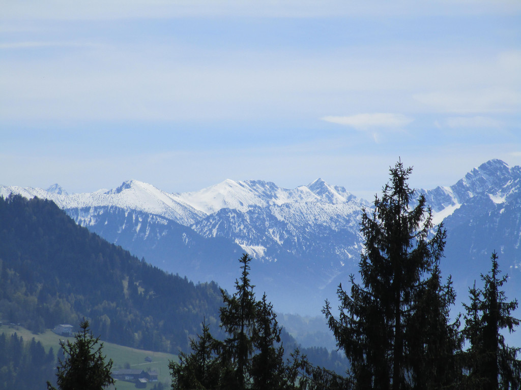 IMG_4600.JPG
