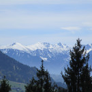 IMG_4600.JPG