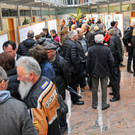 Neuer Bahnhof Hard 7.jpg