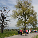 IMG_6130.JPG